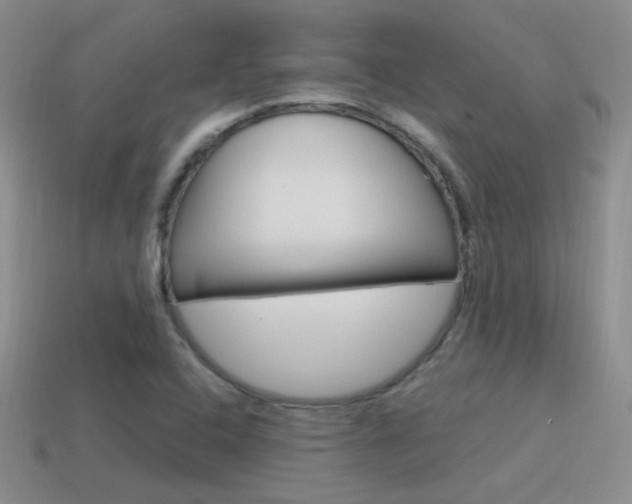 X0000115561408200911061138