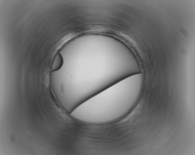 X0000115561409200911061138