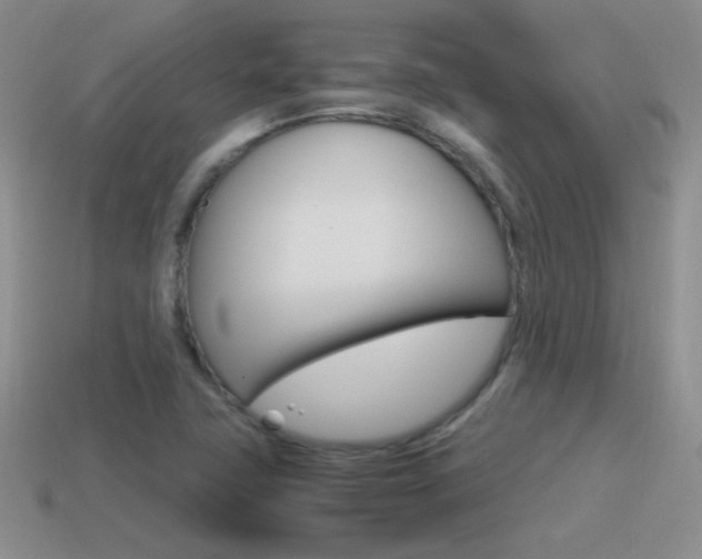 X0000115561411200911061138