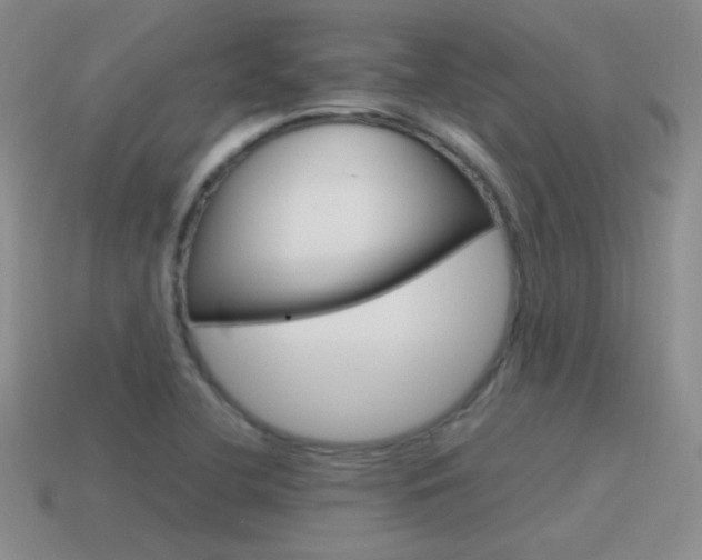 X0000115561412200911061138
