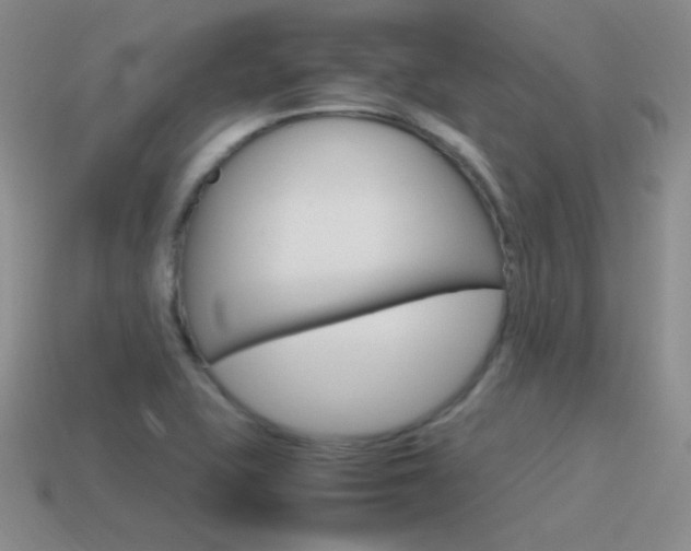 X0000115561415200911061138