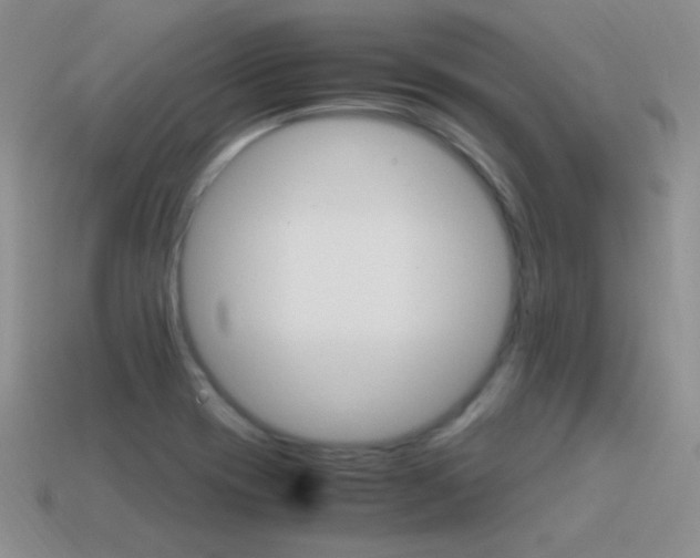 X0000115561417200911061138