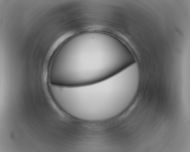 X0000115561418200911061138