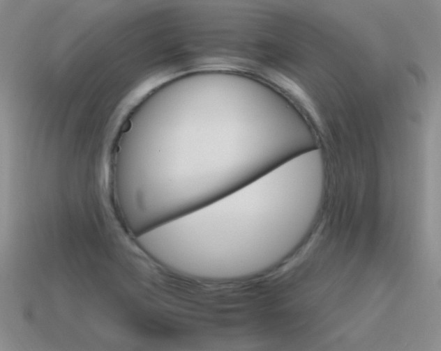 X0000115561419200911061138