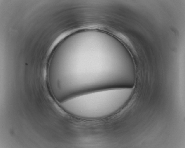 X0000115561420200911061138