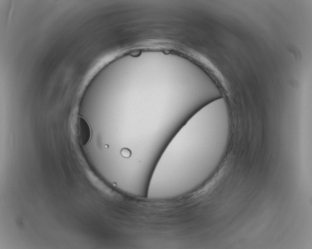 X0000115561421200911061138
