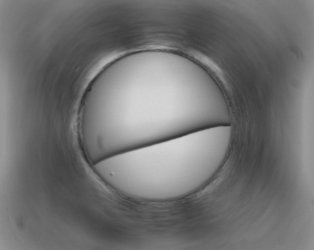 X0000115561423200911061138