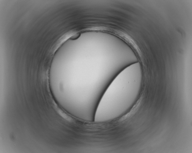 X0000115561425200911061138