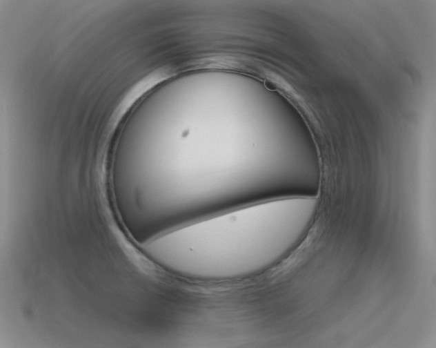 X0000115561426200911061138