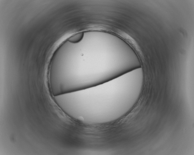 X0000115561427200911061138