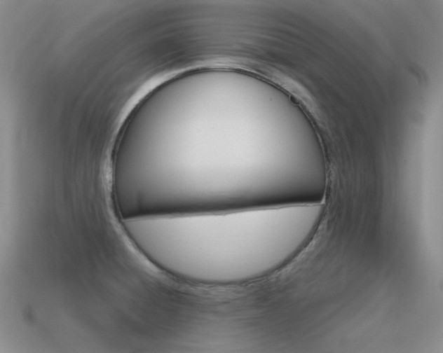 X0000115561428200911061138