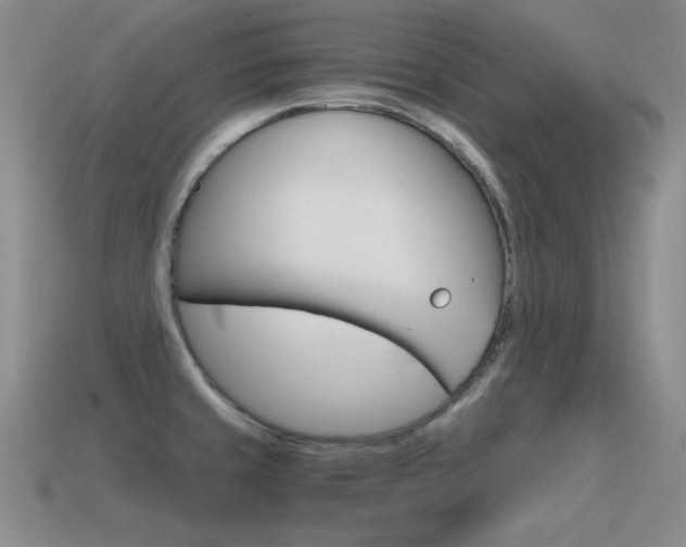 X0000115561429200911061138