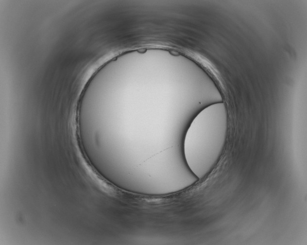 X0000115561431200911061138