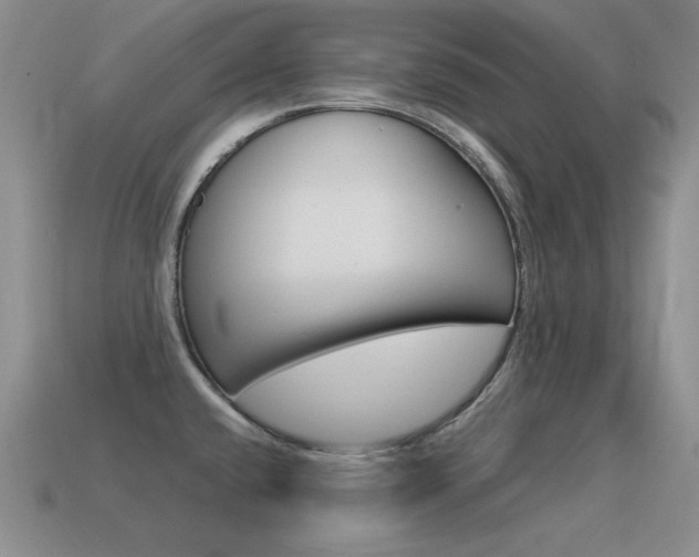 X0000115561432200911061138
