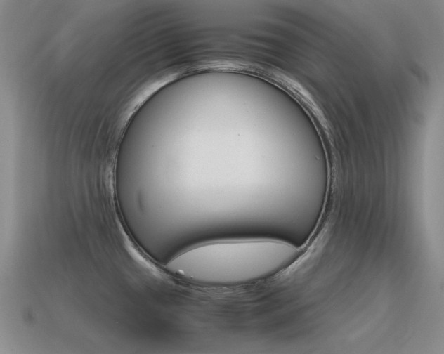 X0000115561433200911061138