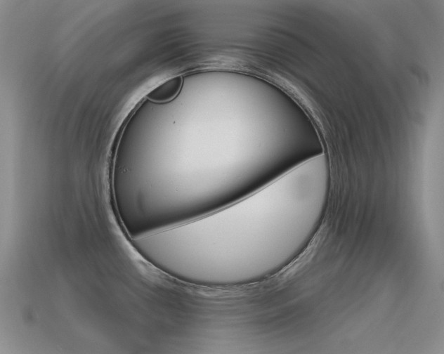 X0000115561434200911061138
