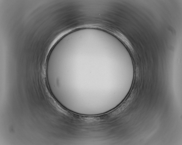 X0000115561436200911061138
