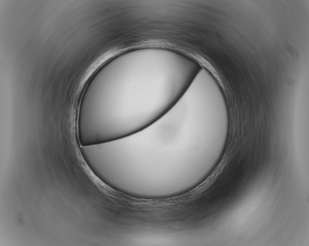 X0000115561438200911061138