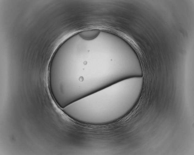 X0000115561439200911061138