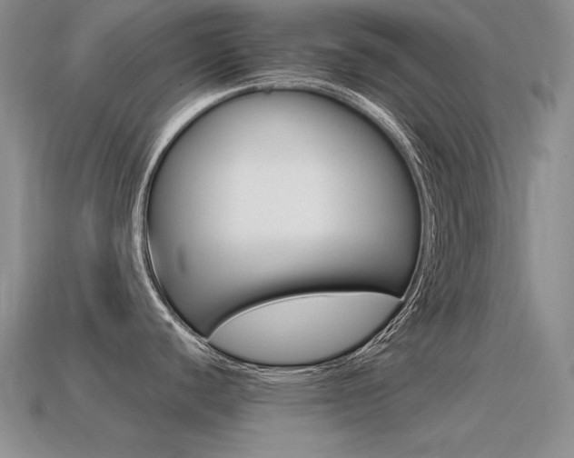 X0000115561440200911061138