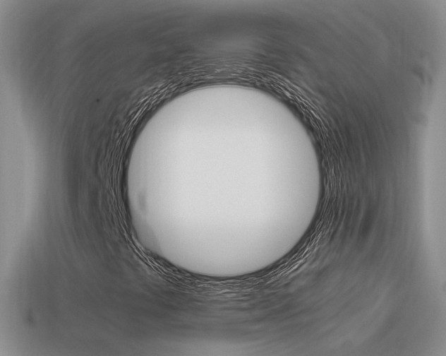 X0000115561441200911061138