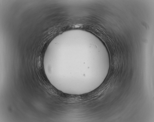 X0000115561442200911061138