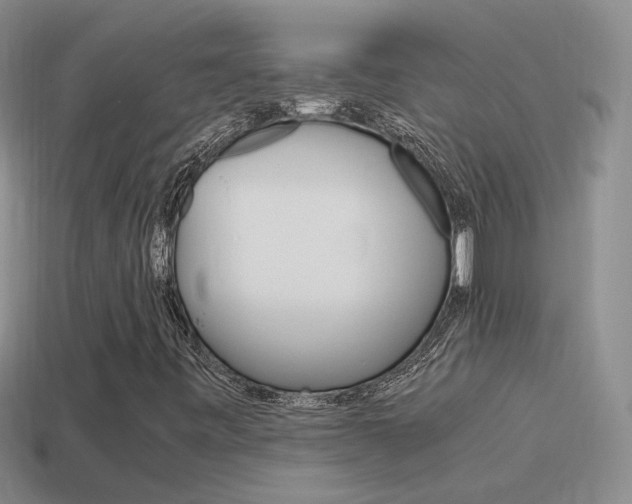 X0000115561443200911061138