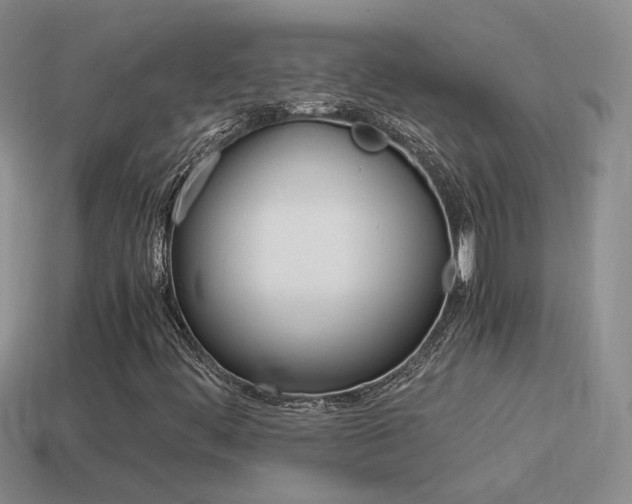 X0000115561444200911061138