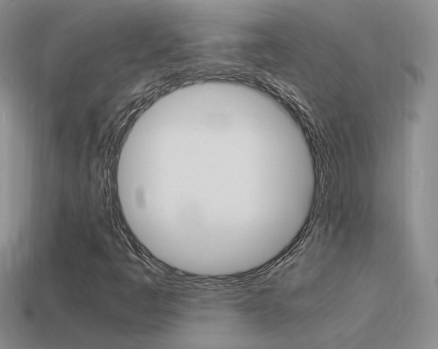 X0000115561445200911061138
