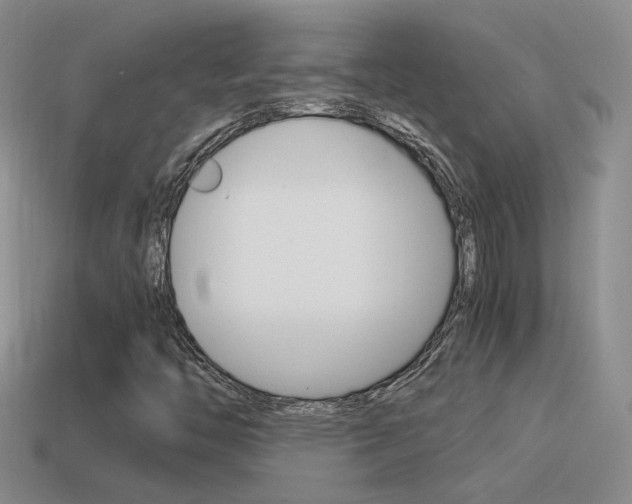 X0000115561446200911061138