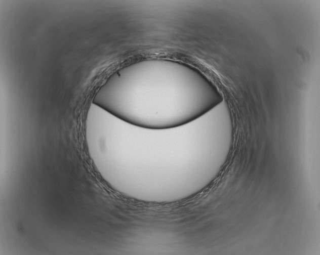 X0000115561447200911061138