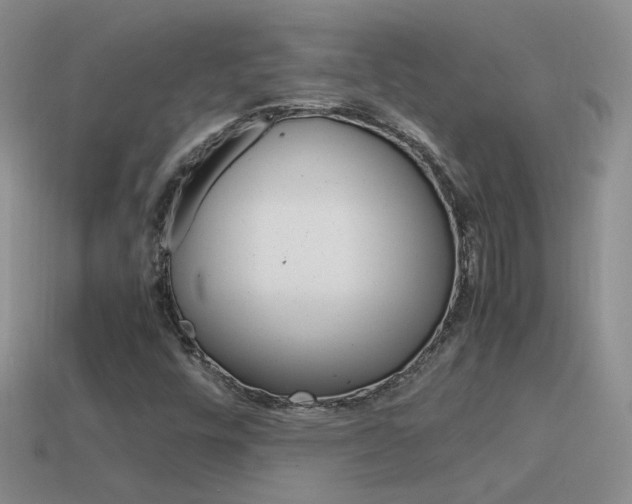 X0000115561448200911061138