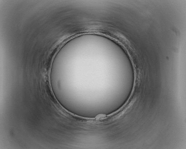 X0000115561449200911061138