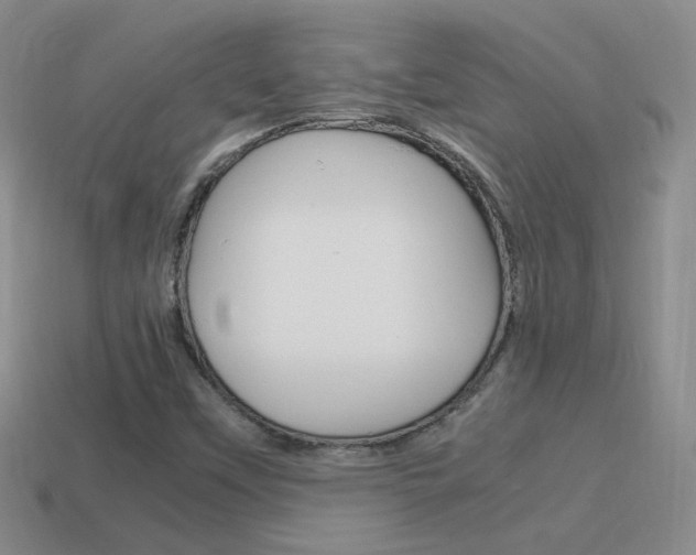 X0000115561451200911061138