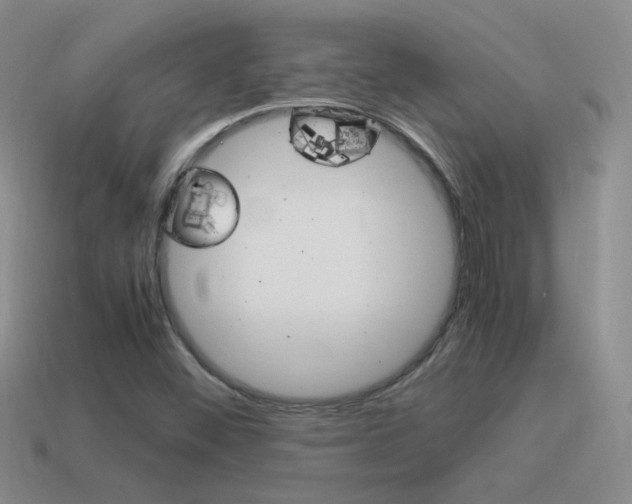 X0000115561452200911061138