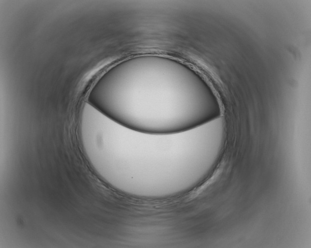 X0000115561453200911061138