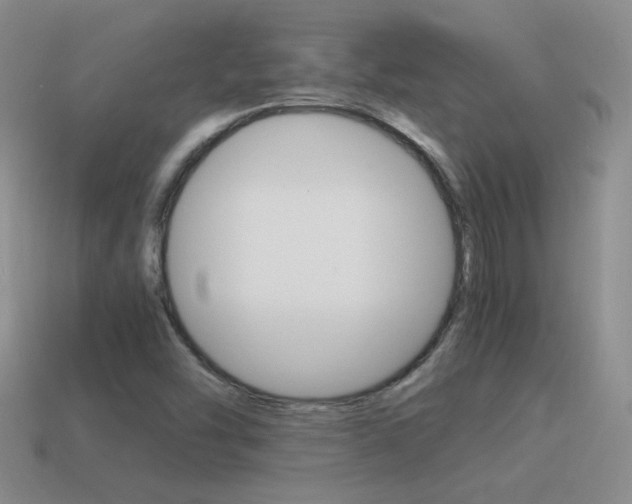 X0000115561454200911061137