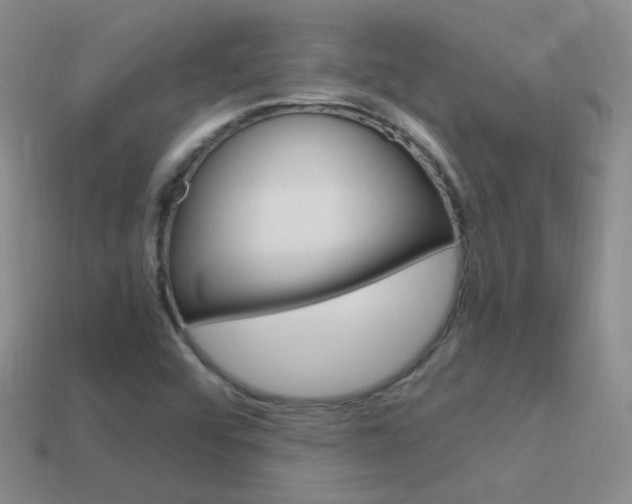 X0000115561456200911061137
