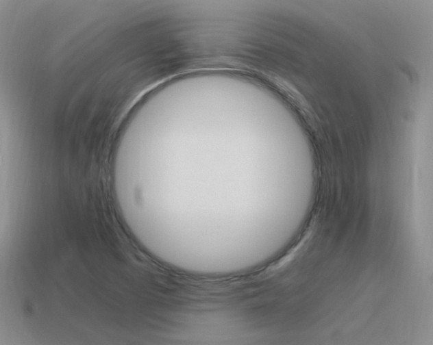 X0000115561457200911061137