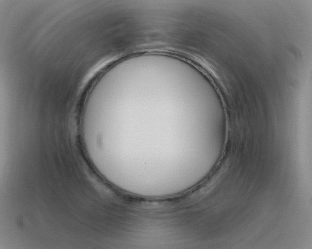 X0000115561458200911061137