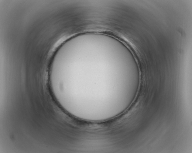 X0000115561459200911061137
