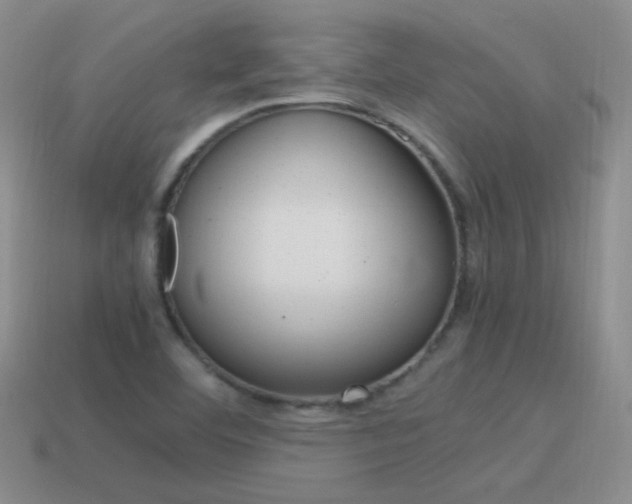 X0000115561460200911061137