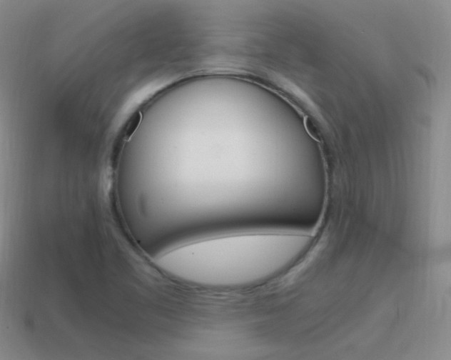 X0000115561461200911061137