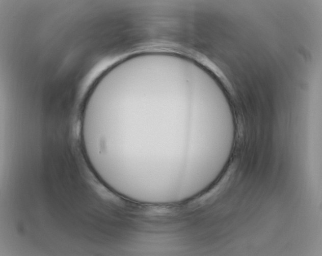 X0000115561462200911061137