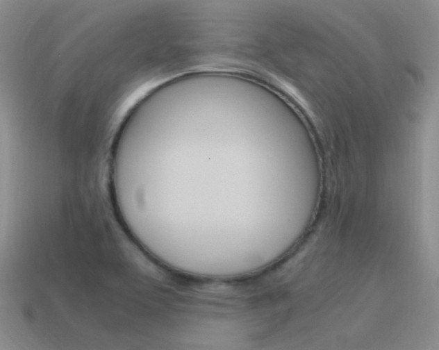 X0000115561463200911061137