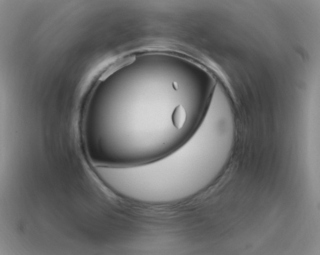 X0000115561464200911061137