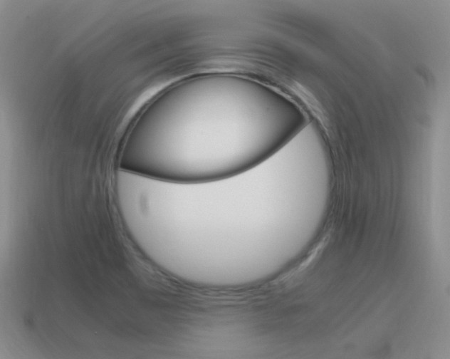 X0000115561465200911061137