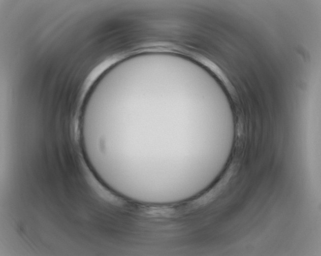 X0000115561466200911061137