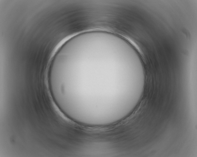 X0000115561468200911061137