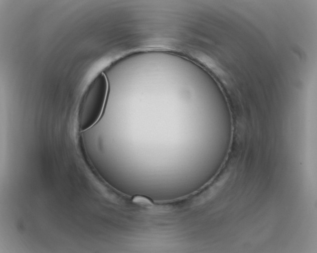 X0000115561469200911061137